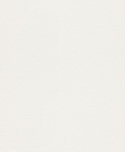 rasch Tapete 165814 - Großrolle Profivlies | 25 m × 1,06 m