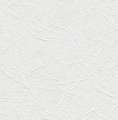rasch Tapete 166101 - Vliestapete mit Struktur | überstreichbar